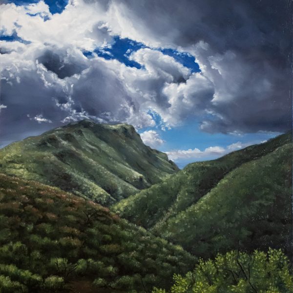 Springtime Hillsides